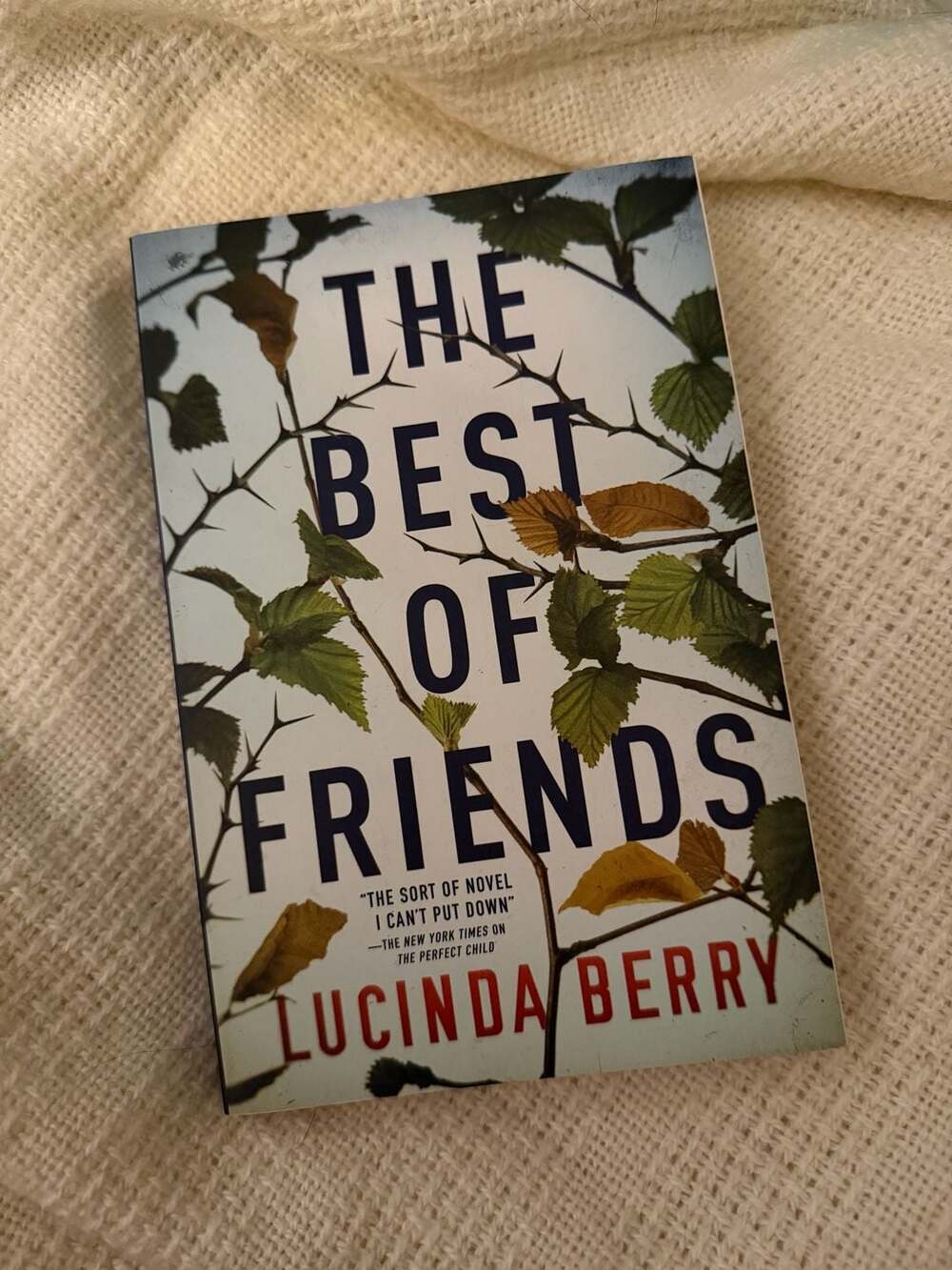 The Best Of Friends By Lucinda Berry Paperback